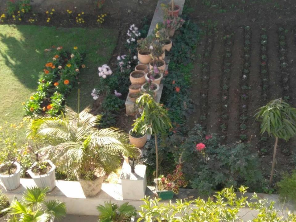 ג'אמו Heritage Homestay מראה חיצוני תמונה