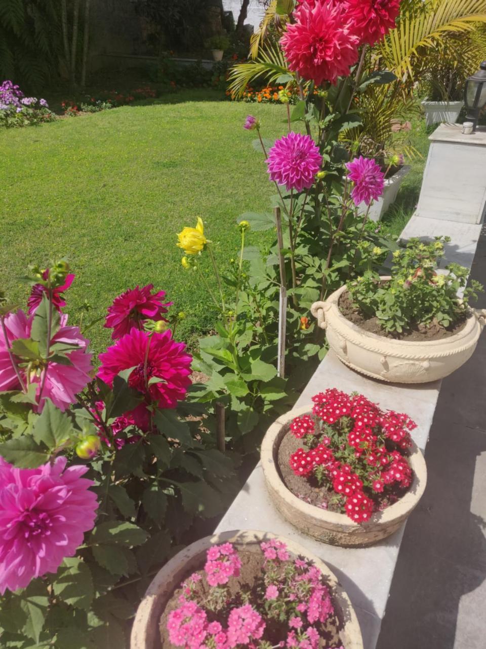 ג'אמו Heritage Homestay מראה חיצוני תמונה